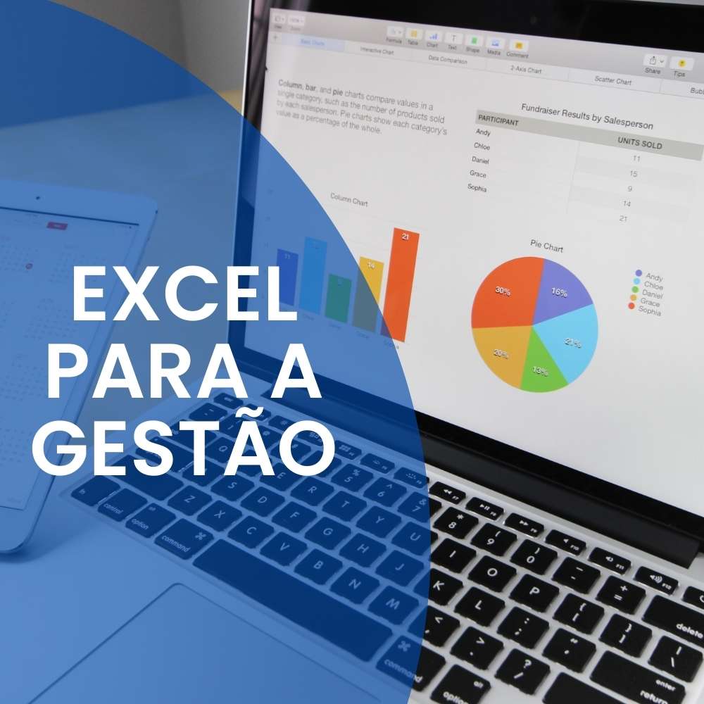 Excel para a Gestão